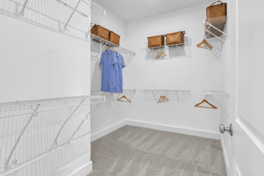 P_CST_SOU_Thorpe_Model_INT_PCL - Copy