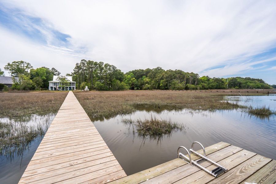 Natural landscape and outdoor views near  in Johns Island (Image 91).