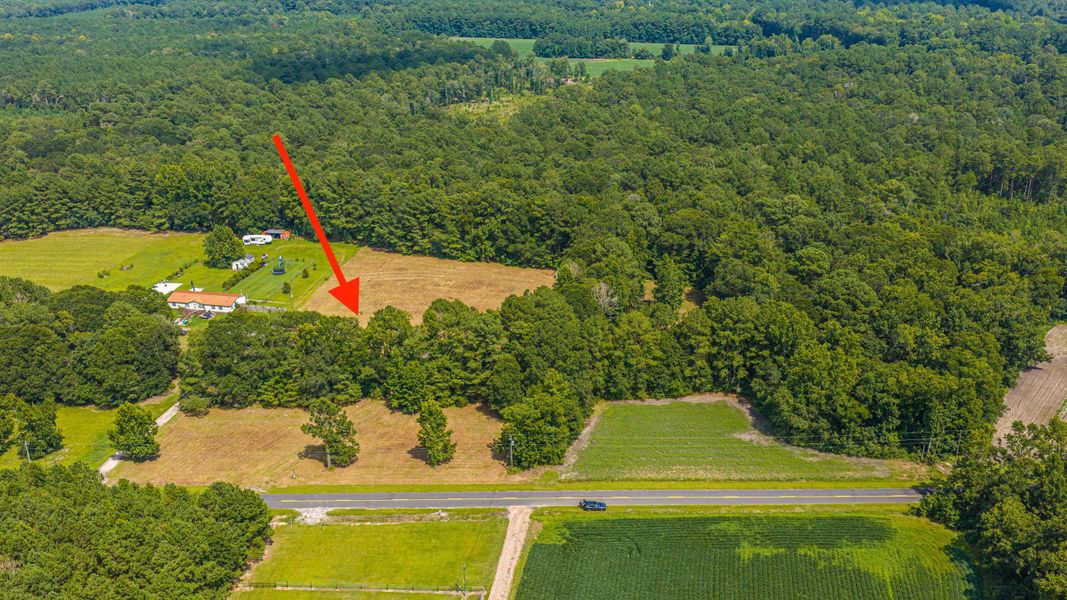 Natural landscape and outdoor views near  in Holly Hill (Image 58).