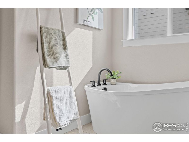 Primary bathroom tub