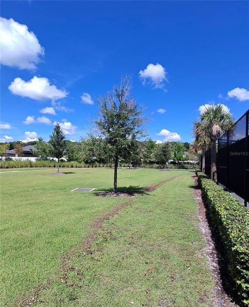 Natural landscape and outdoor views near Angeline Active Adult in Land O' Lakes (Image 37).