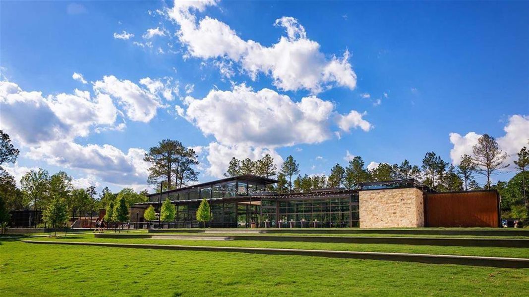 Community amenities in The Woodlands Hills, Willis (Image 6).