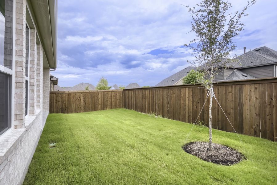 833 Stone Grove - Backyard 833 Stone Grove - Backyard
