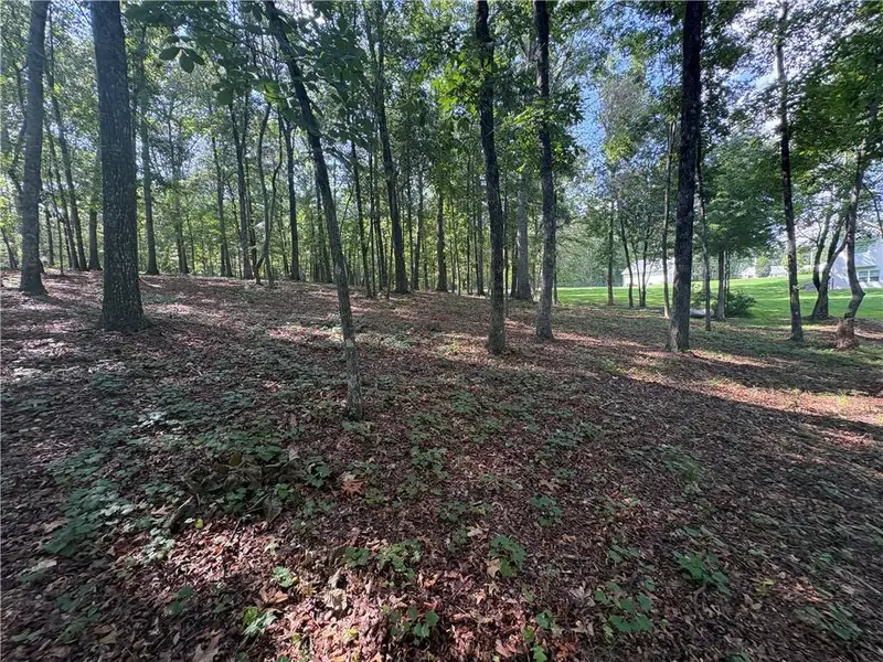 Natural landscape and outdoor views near  in Dawsonville (Image 63).