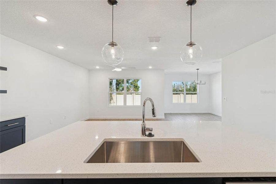 Close-up of interior finishes inside a home in Aspire at Canter Creek, Davenport (Image 19).