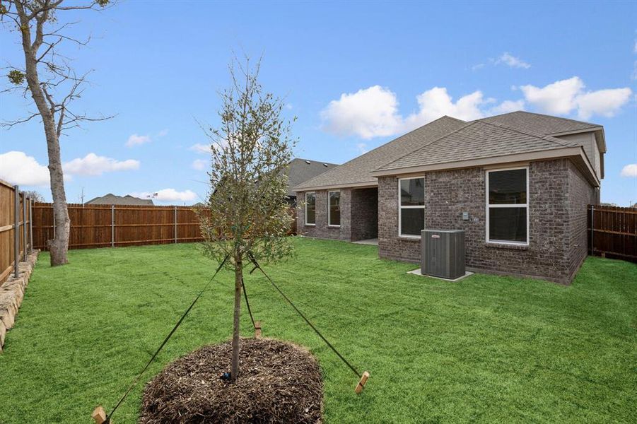 Back of property with a mature tree for shade