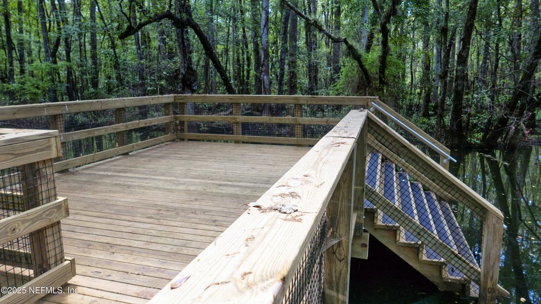 Natural landscape and outdoor views near Trailmark in St. Augustine (Image 45).