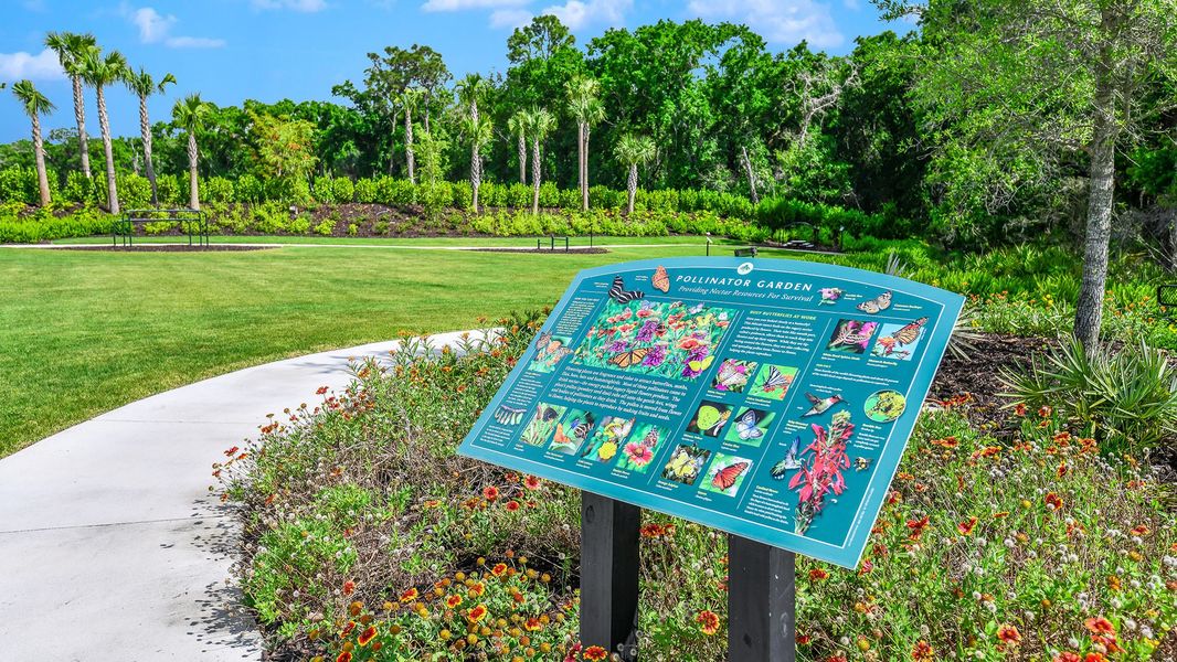 Community amenities in Esplanade at Azario Lakewood Ranch, Bradenton (Image 86).