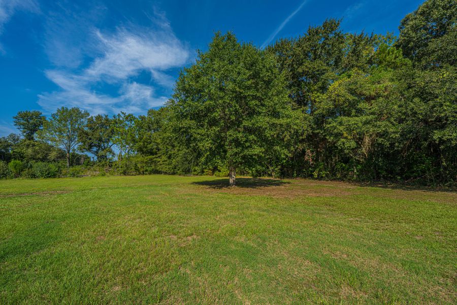 Natural landscape and outdoor views near  in St. Stephen (Image 92).