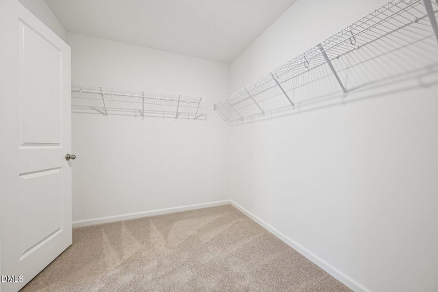 33-web-or-mls-Salers Loop-S1902-033