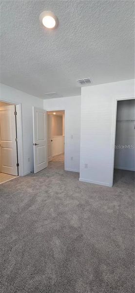 Spacious, unfurnished interior of a new home in Horse Creek at Crosswinds, Davenport (Image 3).