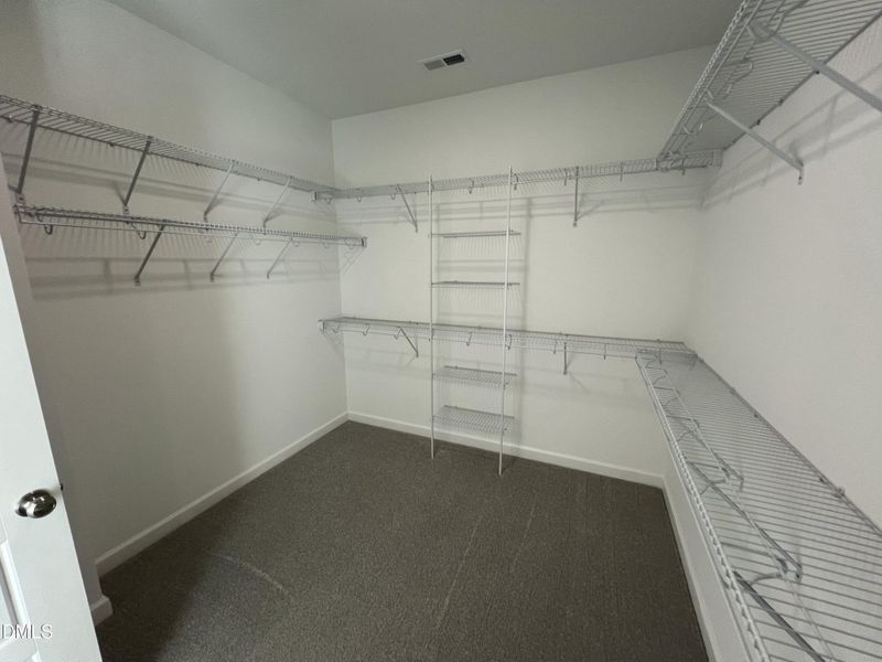 IMG_5213 2 IMG_5213 2