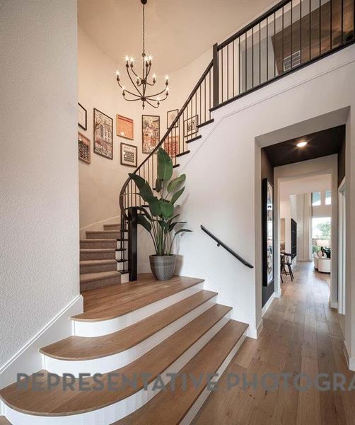 Image 40 of a home in Star Trail: 55ft. lots. Image 40 of a home in Star Trail: 55ft. lots.