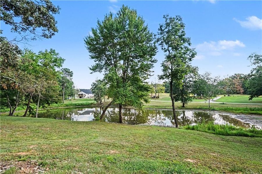 Natural landscape and outdoor views near  in Covington (Image 36).