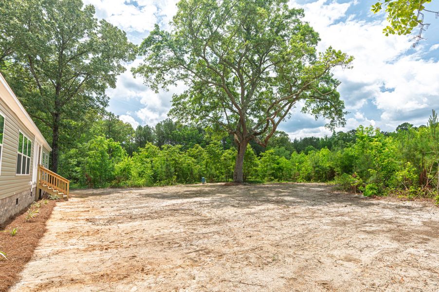 Natural landscape and outdoor views near  in Eutawville (Image 27).