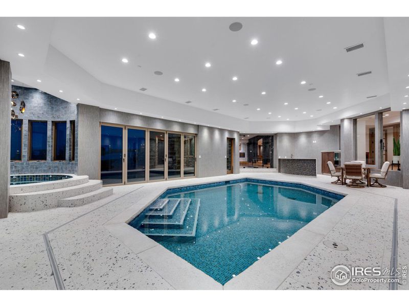 This lower level pool room has a full bar, steam room, sauna and bath