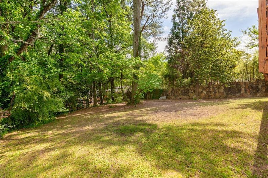 Natural landscape and outdoor views near  in Decatur (Image 28).