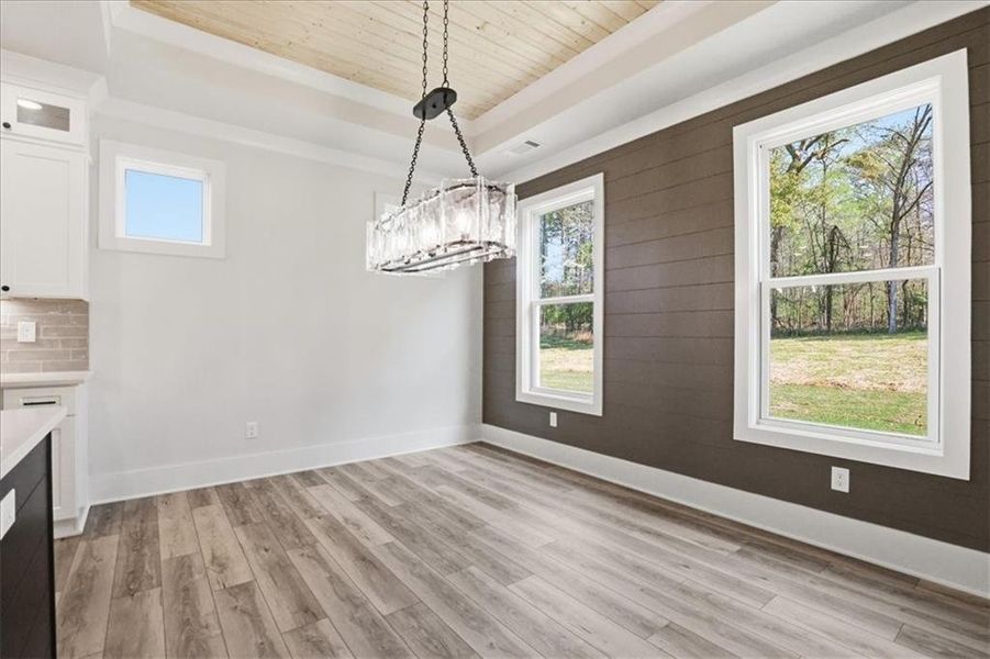 Spacious, unfurnished interior of a new home in , Hoschton (Image 65).