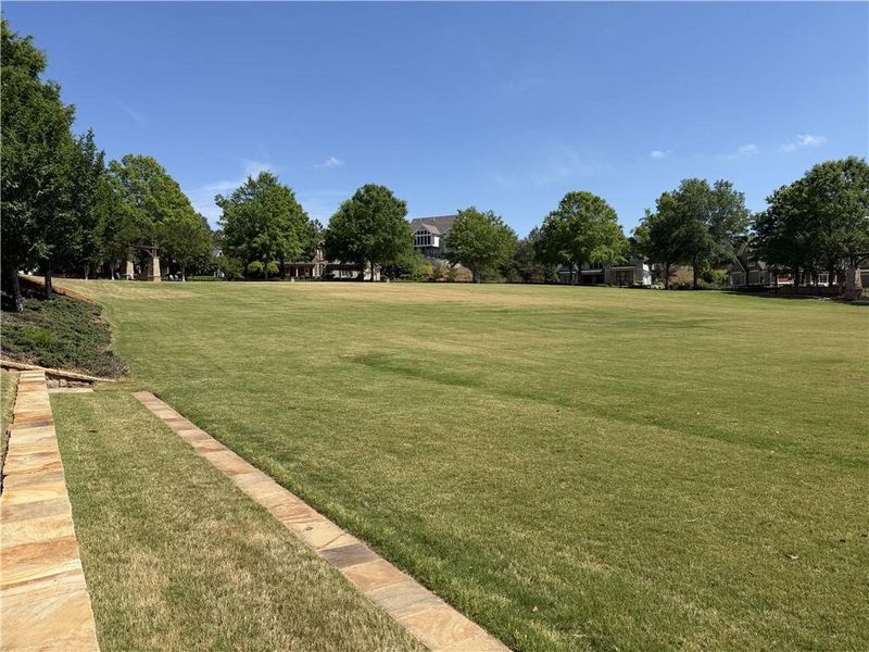 Natural landscape and outdoor views near  in Gainesville (Image 74).