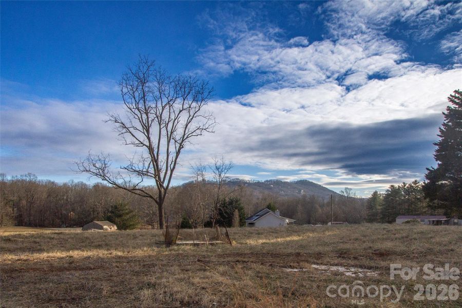 Neighborhood Views looking SW