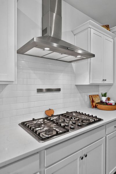 Close-up of interior finishes inside a home in Horizons at Summers Corner | 55+, Summerville (Image 21).