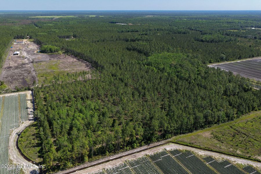 Natural landscape and outdoor views near  in Bunnell (Image 47).