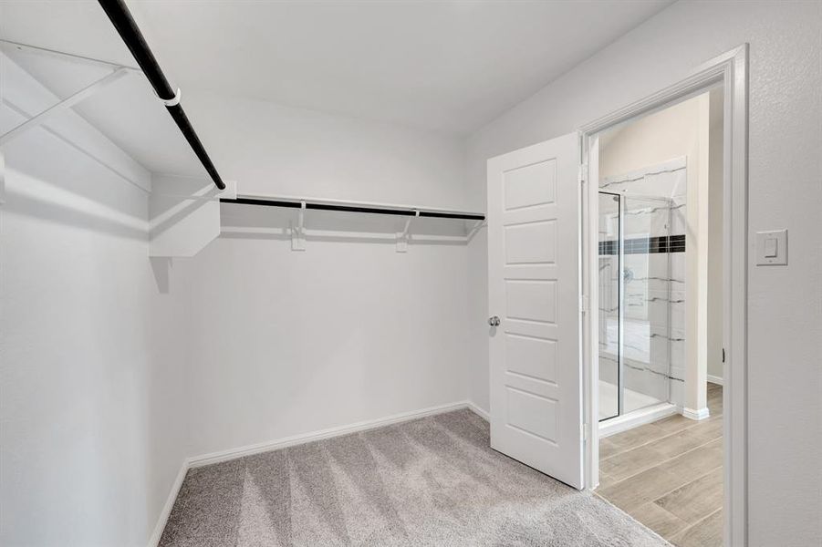 Spacious, unfurnished interior of a new home in Forest Park, Princeton (Image 30). Spacious, unfurnished interior of a new home in Forest Park, Princeton (Image 30).