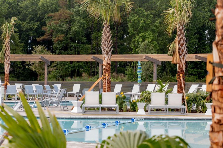 Community amenities in Nexton - Midtown - The Village Collection, Summerville (Image 47).