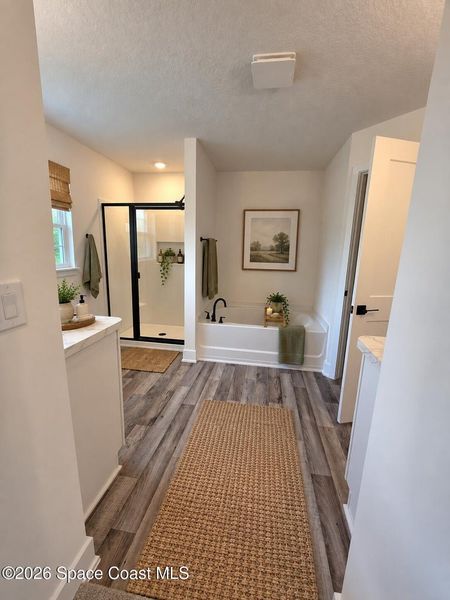 Furnished interior view inside a new home in Palm Bay, Palm Bay (Image 12). Furnished interior view inside a new home in Palm Bay, Palm Bay (Image 12).