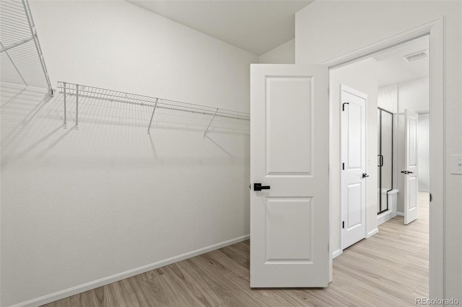 Spacious, unfurnished interior of a new home in Windsong, Brighton (Image 18). Spacious, unfurnished interior of a new home in Windsong, Brighton (Image 18).