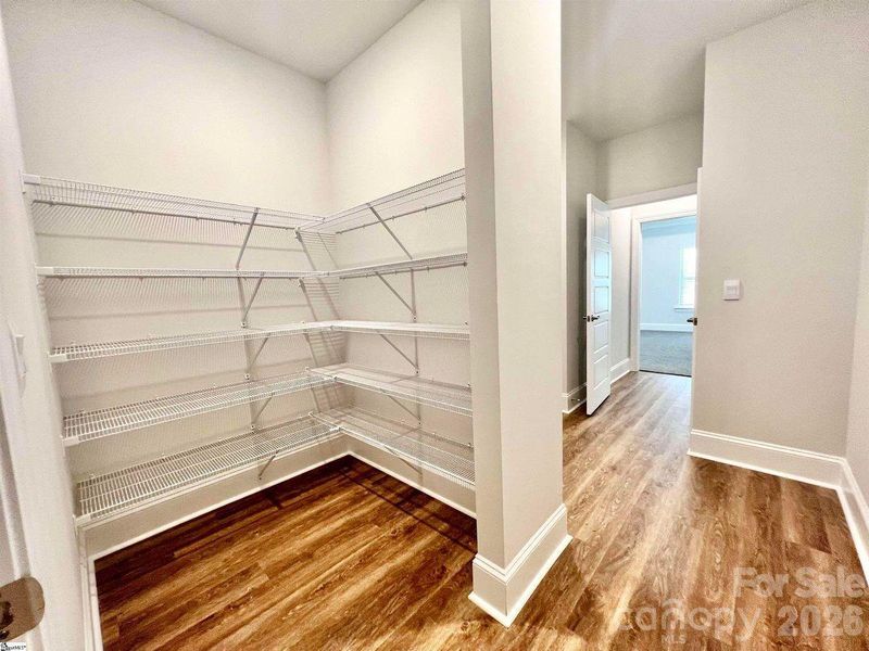 Representative Photo