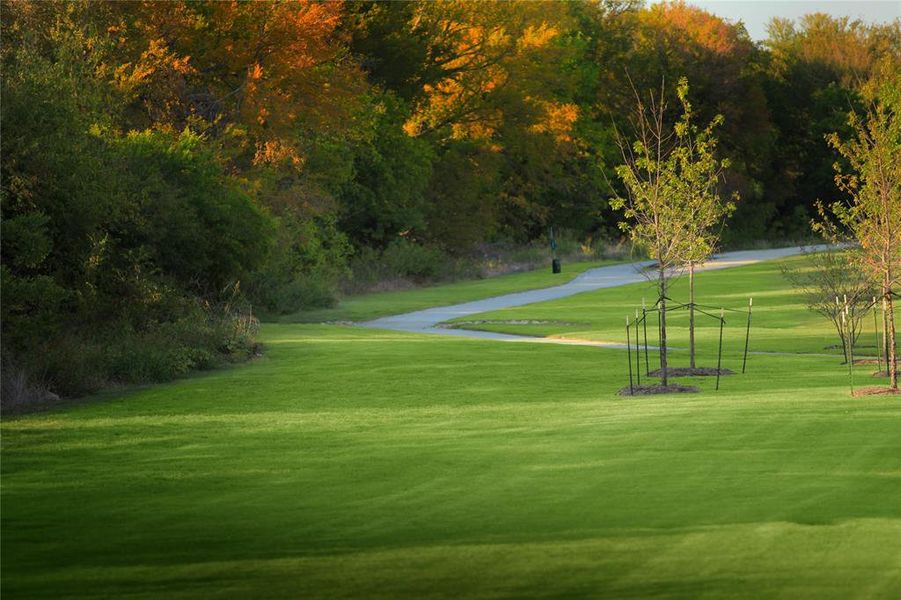 Natural landscape and outdoor views near Monterra in Fate (Image 20).