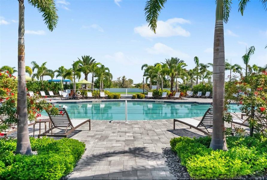 Community amenities in , Sarasota (Image 58).