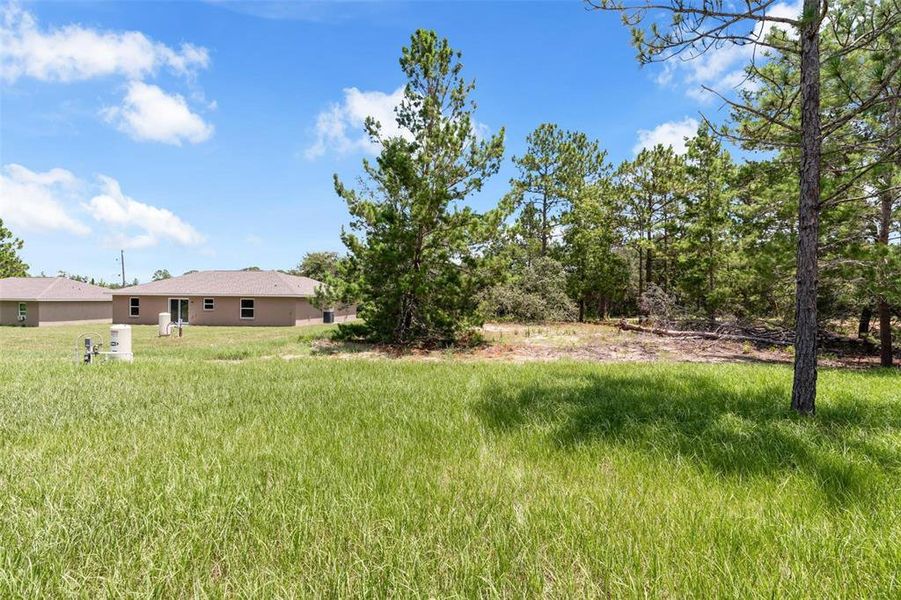 Natural landscape and outdoor views near  in Ocklawaha (Image 32).