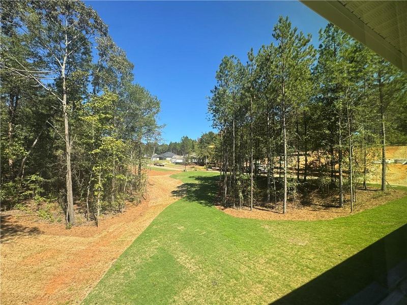 Natural landscape and outdoor views near The Fields of Walnut Creek in Pendergrass (Image 32).