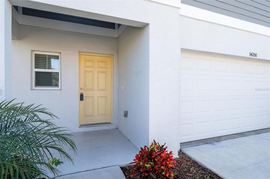 Exterior details and patio area of a home in Pasadena Point, Wesley Chapel (Image 2). Exterior details and patio area of a home in Pasadena Point, Wesley Chapel (Image 2).