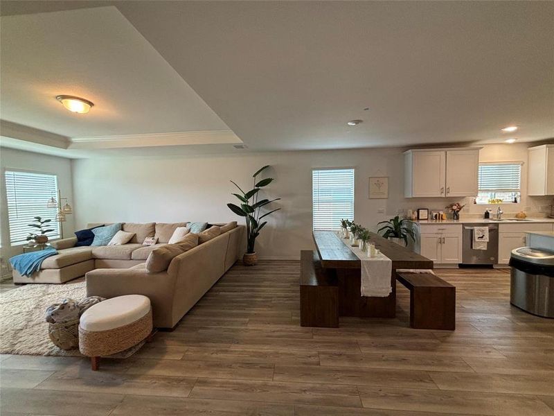 Living room featuring a raised ceiling, dark wood-style flooring, and recessed lighting