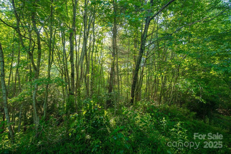 Image 9 of a home in . Image 9 of a home in .