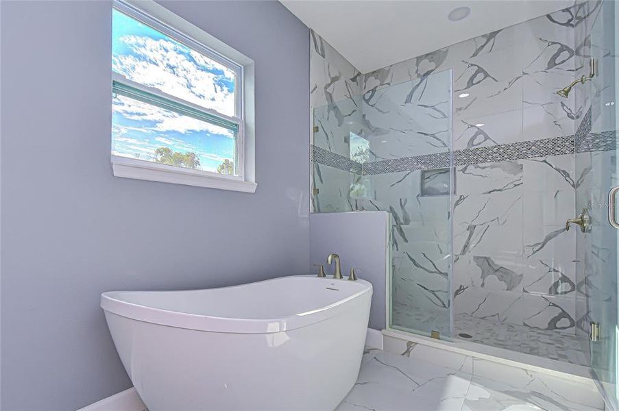 Furnished interior view inside a new home in , Pinellas Park (Image 27). Furnished interior view inside a new home in , Pinellas Park (Image 27).