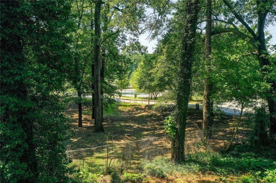 Natural landscape and outdoor views near  in Atlanta (Image 31).