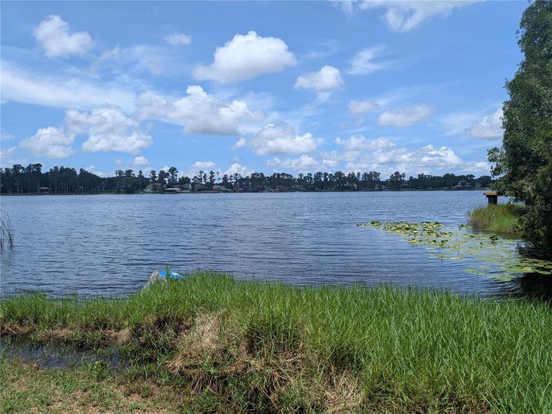 Natural landscape and outdoor views near in Odessa (Image 17). Natural landscape and outdoor views near in Odessa (Image 17).
