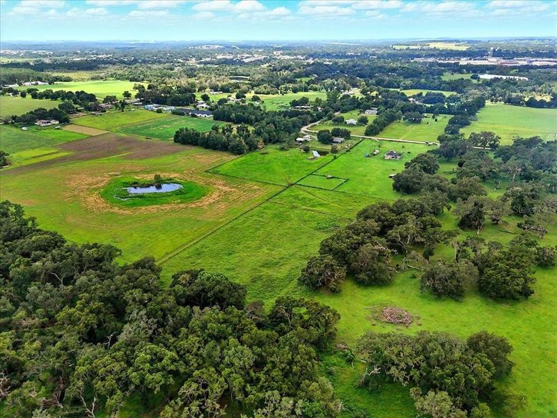Natural landscape and outdoor views near  in Dade City (Image 15).
