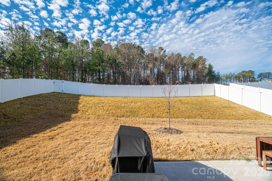 Fenced in Yard Fenced in Yard