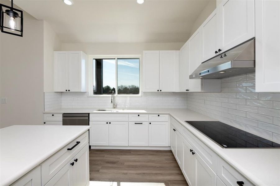 Kitchen featuring backsplash, a sink, white cabinetry, black electric cooktop, and under cabinet range hood