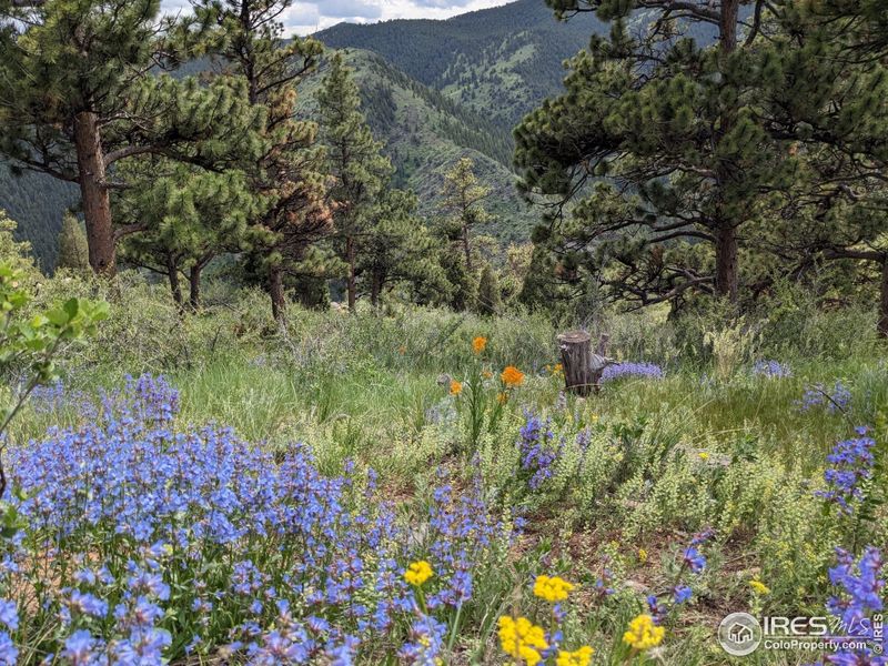 Image 18 of a home in .