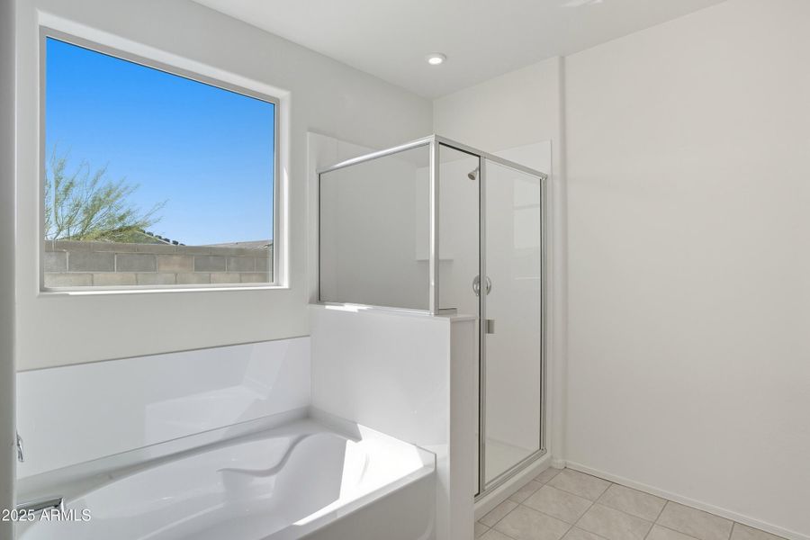 Acacia HS #76 Web-7 Acacia HS #76 Web-7