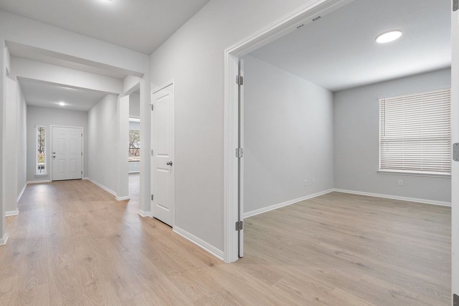 008_mm_05331 008_mm_05331