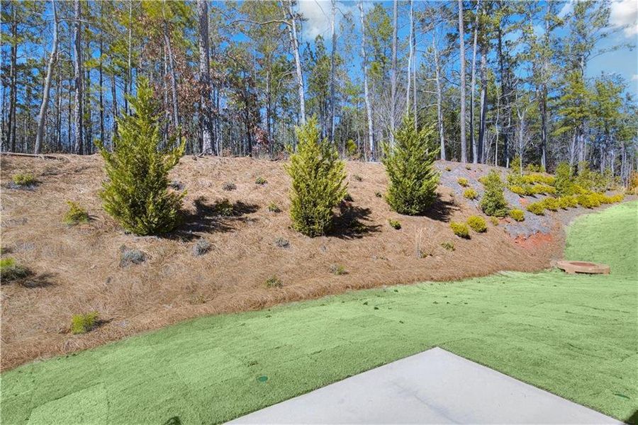 Natural landscape and outdoor views near Enclave at Parkway Village in Fairburn (Image 22).