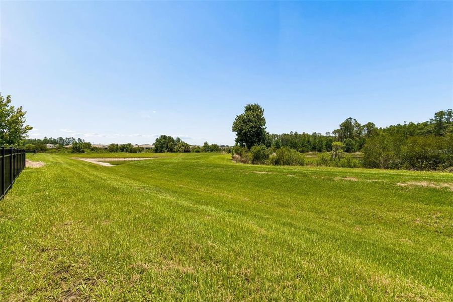 Natural landscape and outdoor views near Deerbrook in Land O' Lakes (Image 72).