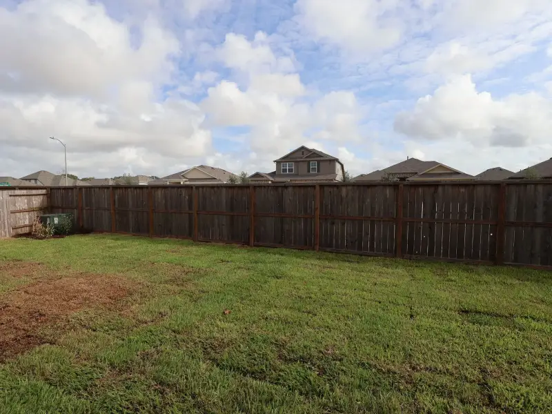 Backyard Backyard